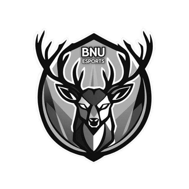 BNU Esports team